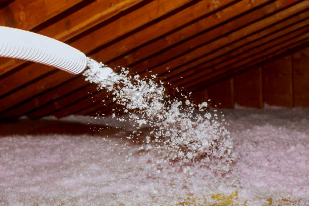 Trusted New Market, TN Insulation Installation & Removal Experts